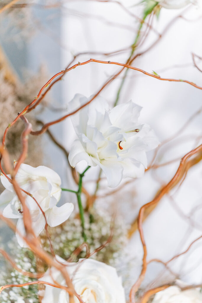 Close-up of white roses and delicate baby's breath entwined with curly willow branches in a soft, textural floral detail.