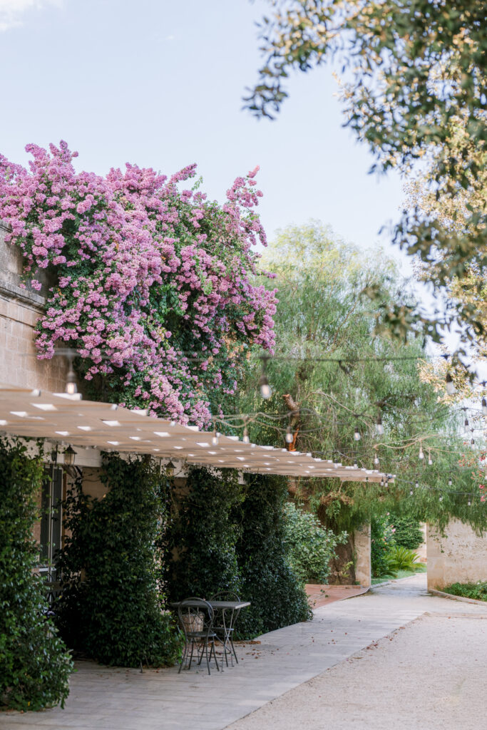 Stone pergola walkway draped in vibrant pink bougainvillea and string lights, styled by Amelia at A. Carleton Weddings.