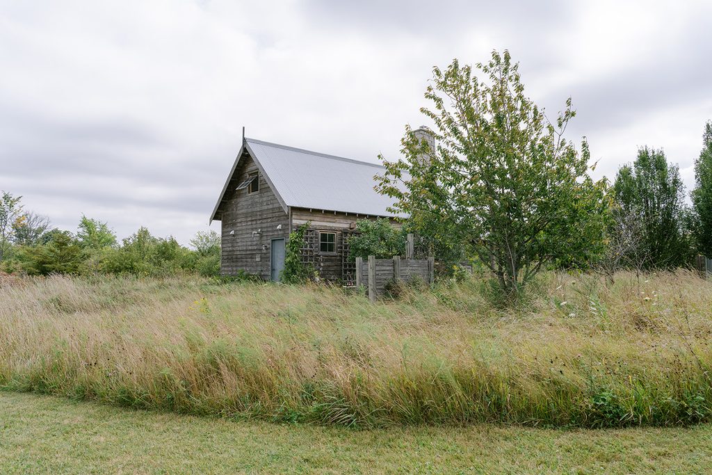 Rustic barn-style cottage surrounded by wild meadow grass under a cloudy sky at Compass Rose in Prince Edward County